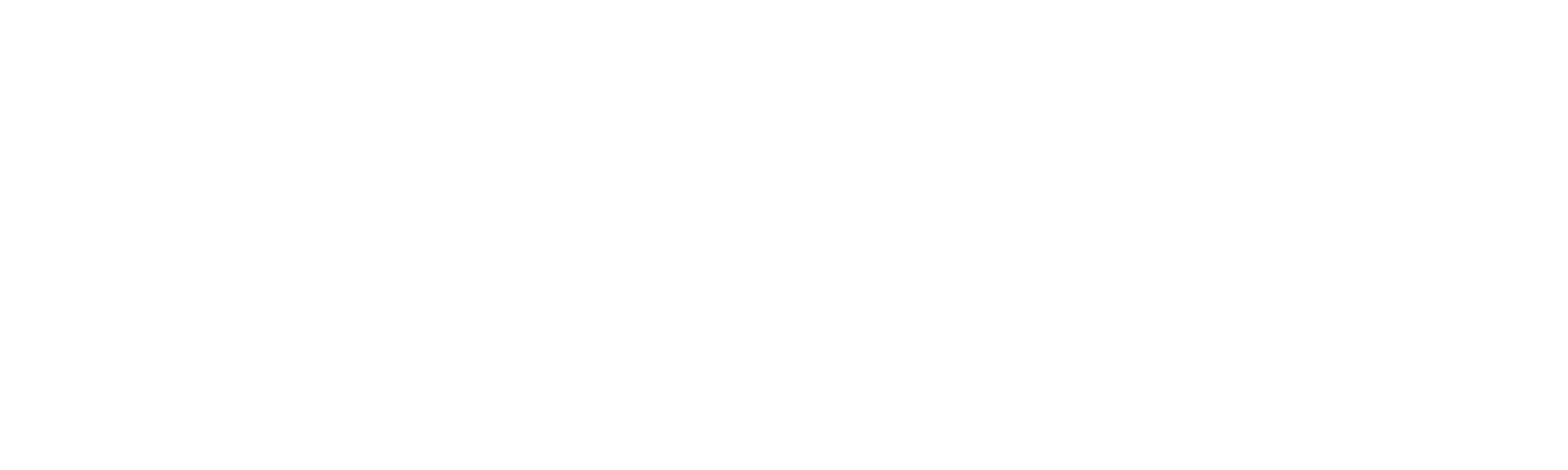 Custom One Logo - Hero