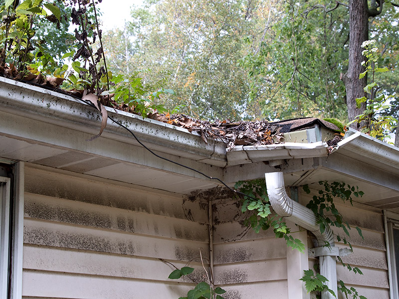 Gutters that get Frequently Clogged Need Replacement